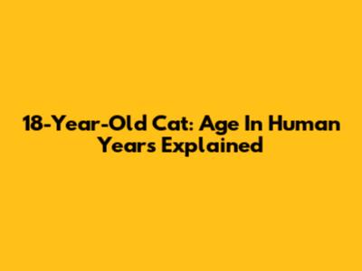 18-Year-Old Cat: Age In Human Years Explained
