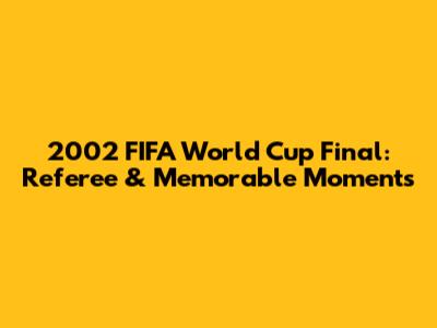 2002 FIFA World Cup Final: Referee & Memorable Moments
