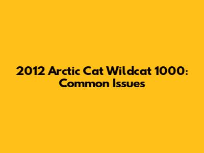 2012 Arctic Cat Wildcat 1000: Common Issues