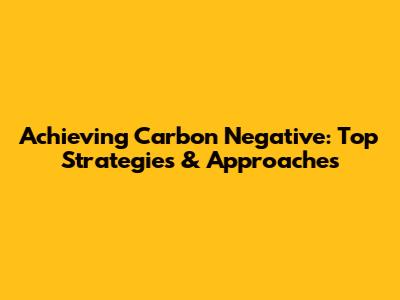 Achieving Carbon Negative: Top Strategies & Approaches