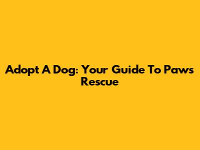 Adopt A Dog: Your Guide To Paws Rescue