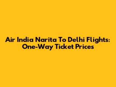 Air India Narita To Delhi Flights: One-Way Ticket Prices
