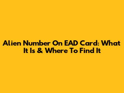 Alien Number On EAD Card: What It Is & Where To Find It