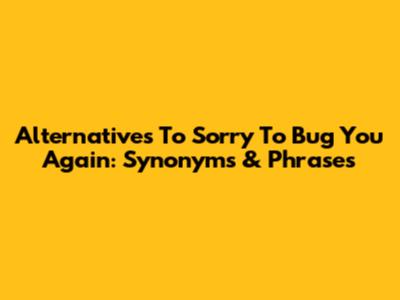 Alternatives To 'Sorry To Bug You Again': Synonyms & Phrases