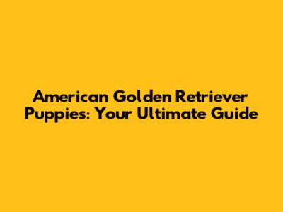 American Golden Retriever Puppies: Your Ultimate Guide