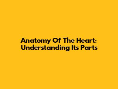 Anatomy Of The Heart: Understanding Its Parts