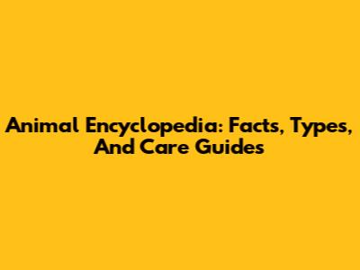 Animal Encyclopedia: Facts, Types, And Care Guides