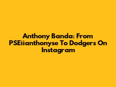 Anthony Banda: From PSEiianthonyse To Dodgers On Instagram