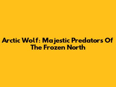 Arctic Wolf: Majestic Predators Of The Frozen North