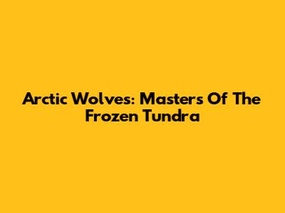 Arctic Wolves: Masters Of The Frozen Tundra