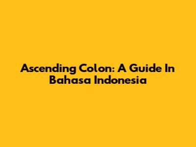 Ascending Colon: A Guide In Bahasa Indonesia