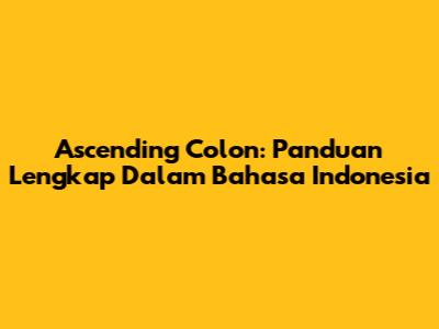 Ascending Colon: Panduan Lengkap Dalam Bahasa Indonesia
