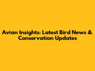 Avian Insights: Latest Bird News & Conservation Updates