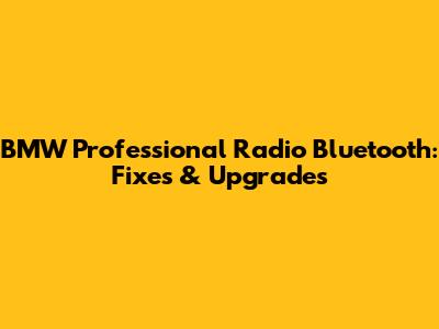 BMW Professional Radio Bluetooth: Fixes & Upgrades