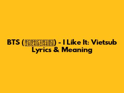 BTS (방탄소년단) - I Like It: Vietsub Lyrics & Meaning