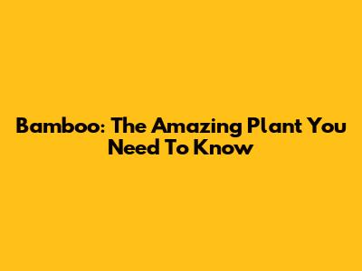 Bamboo: The Amazing Plant You Need To Know