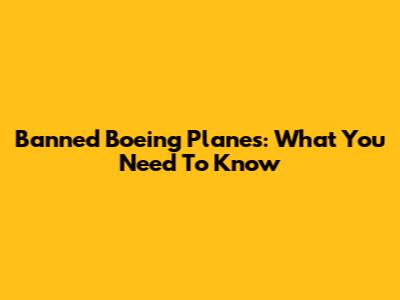 Banned Boeing Planes: What You Need To Know