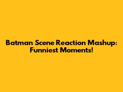 Batman Scene Reaction Mashup: Funniest Moments!