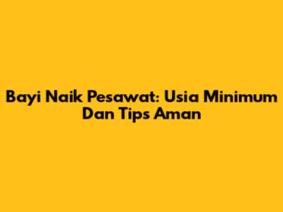 Bayi Naik Pesawat: Usia Minimum Dan Tips Aman