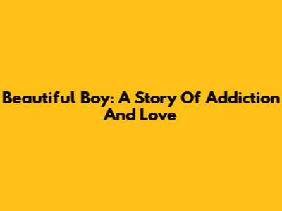 Beautiful Boy: A Story Of Addiction And Love