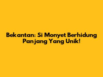 Bekantan: Si Monyet Berhidung Panjang Yang Unik!