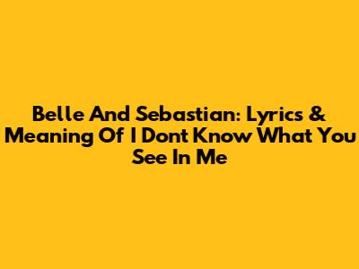 Belle And Sebastian: Lyrics & Meaning Of 'I Don't Know What You See In Me'