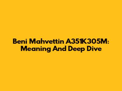 Beni Mahvettin A351K305M: Meaning And Deep Dive