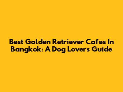 Best Golden Retriever Cafes In Bangkok: A Dog Lover's Guide