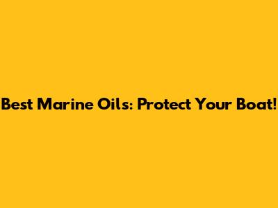 Best Marine Oils: Protect Your Boat!