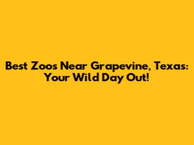 Best Zoos Near Grapevine, Texas: Your Wild Day Out!