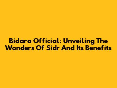 Bidara Official: Unveiling The Wonders Of Sidr And Its Benefits