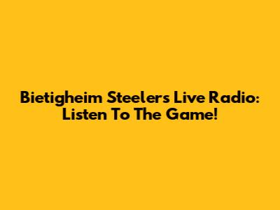 Bietigheim Steelers Live Radio: Listen To The Game!