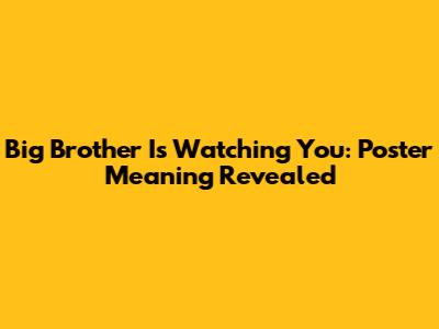 Big Brother Is Watching You: Poster Meaning Revealed
