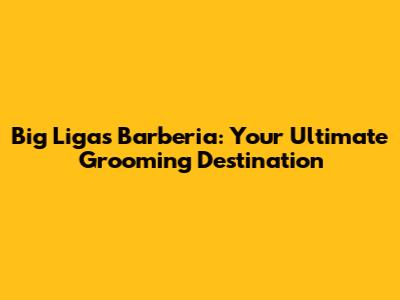 Big Ligas Barberia: Your Ultimate Grooming Destination