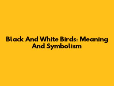 Black And White Birds: Meaning And Symbolism