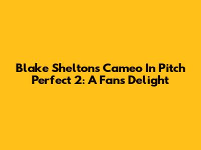 Blake Shelton's Cameo In Pitch Perfect 2: A Fan's Delight