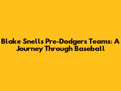 Blake Snell's Pre-Dodgers Teams: A Journey Through Baseball