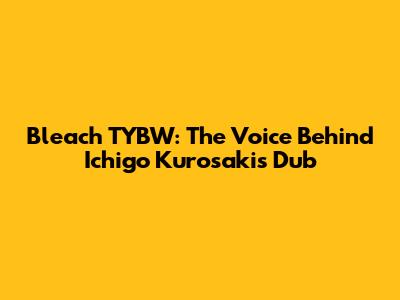Bleach TYBW: The Voice Behind Ichigo Kurosaki's Dub
