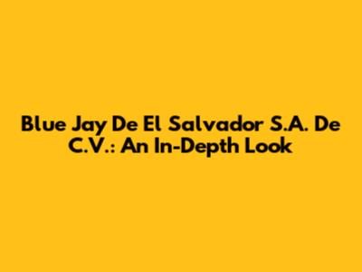 Blue Jay De El Salvador S.A. De C.V.: An In-Depth Look