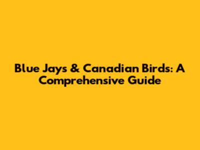 Blue Jays & Canadian Birds: A Comprehensive Guide