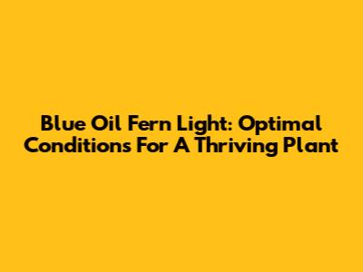 Blue Oil Fern Light: Optimal Conditions For A Thriving Plant