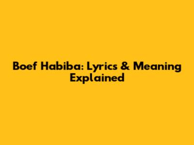 Boef Habiba: Lyrics & Meaning Explained