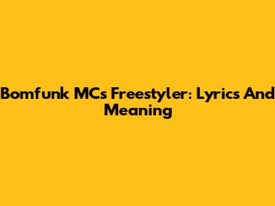 Bomfunk MC's Freestyler: Lyrics And Meaning