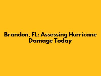 Brandon, FL: Assessing Hurricane Damage Today