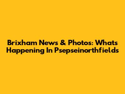 Brixham News & Photos: What's Happening In Psepseinorthfields
