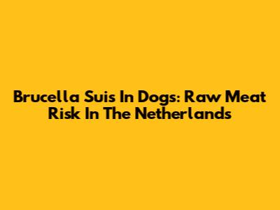 Brucella Suis In Dogs: Raw Meat Risk In The Netherlands
