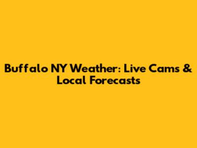 Buffalo NY Weather: Live Cams & Local Forecasts