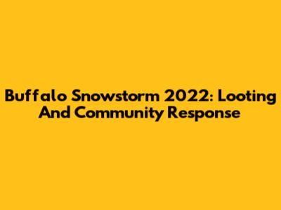 Buffalo Snowstorm 2022: Looting And Community Response