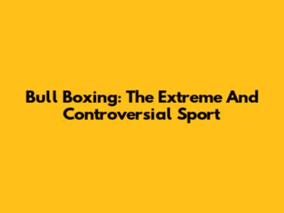 Bull Boxing: The Extreme And Controversial Sport