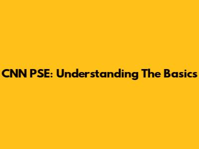 CNN PSE: Understanding The Basics